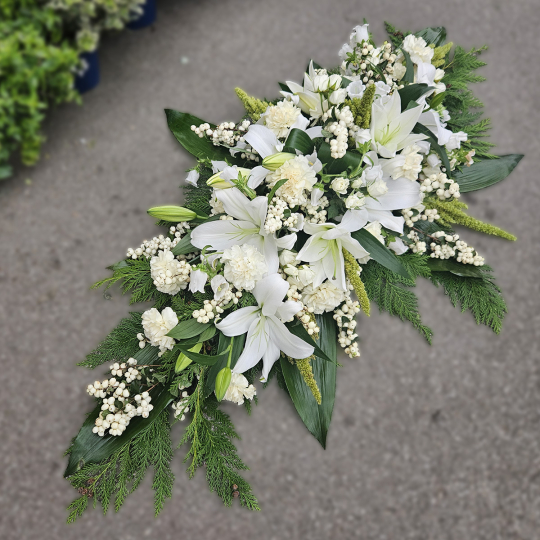 Grande Raquette blanche