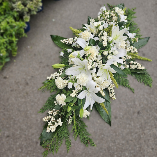 Grande Raquette blanche