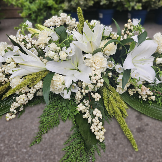 Grande Raquette blanche