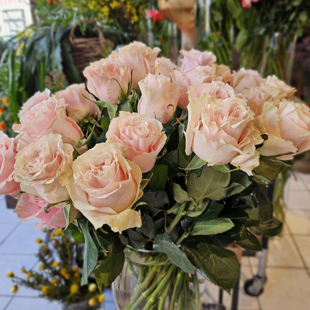 Rose Pink Mondial 50cm