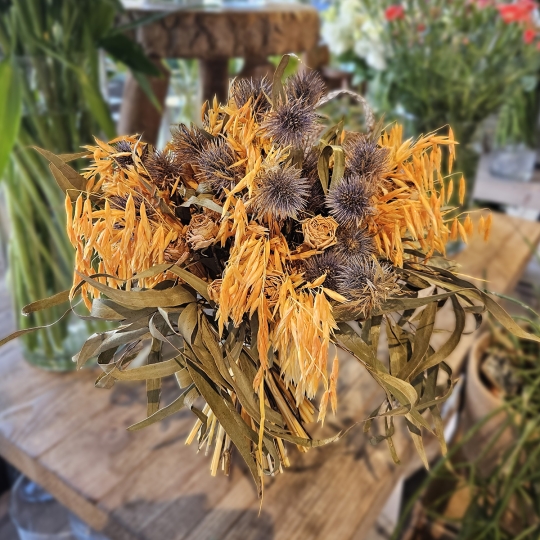 Bouquet séché chardons