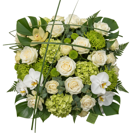 Coussin carré blanc vert