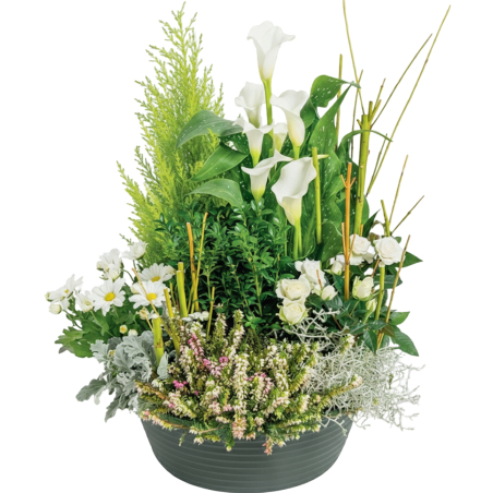 Coupe de plantes blanches