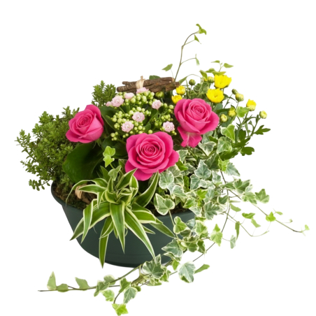 Coupe de plantes roses