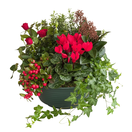 Coupe de plantes rouges