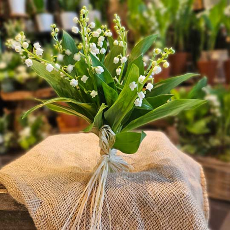 12 brins de Muguet