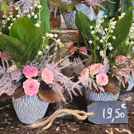 Bonheur de printemps