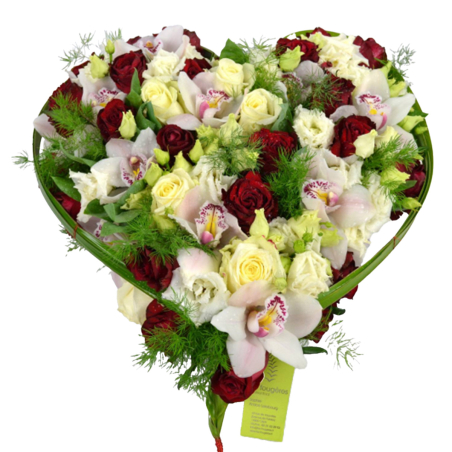 Coeur plein rouge et blanc