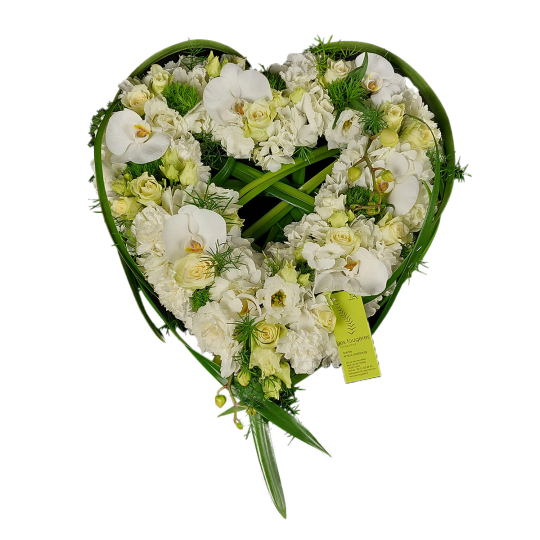 Coeur végétatif blanc et vert