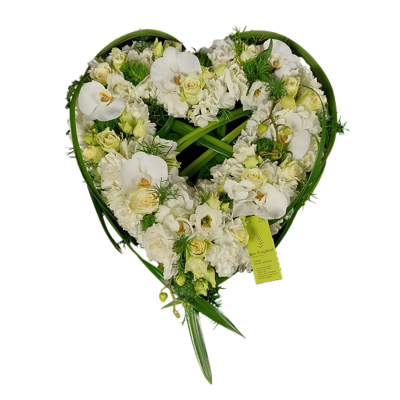 Coeur végétatif blanc et vert