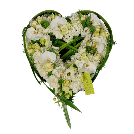 Coeur végétatif blanc et vert