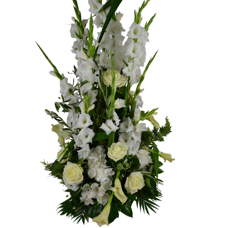 Coussin conique végétatif