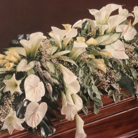 Dessus de cercueil arômes blancs