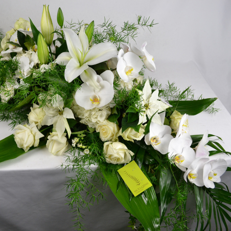 Dessus de cercueil blanc