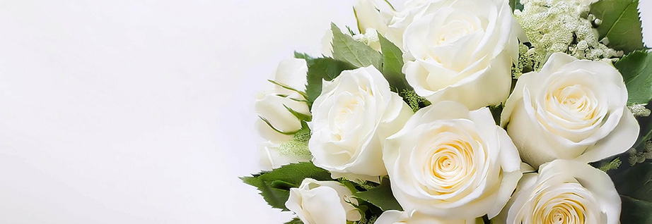 Roses - Les Fougères Les Fougères Créateur floral Caen