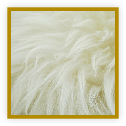 Noces de laine Noces de laine