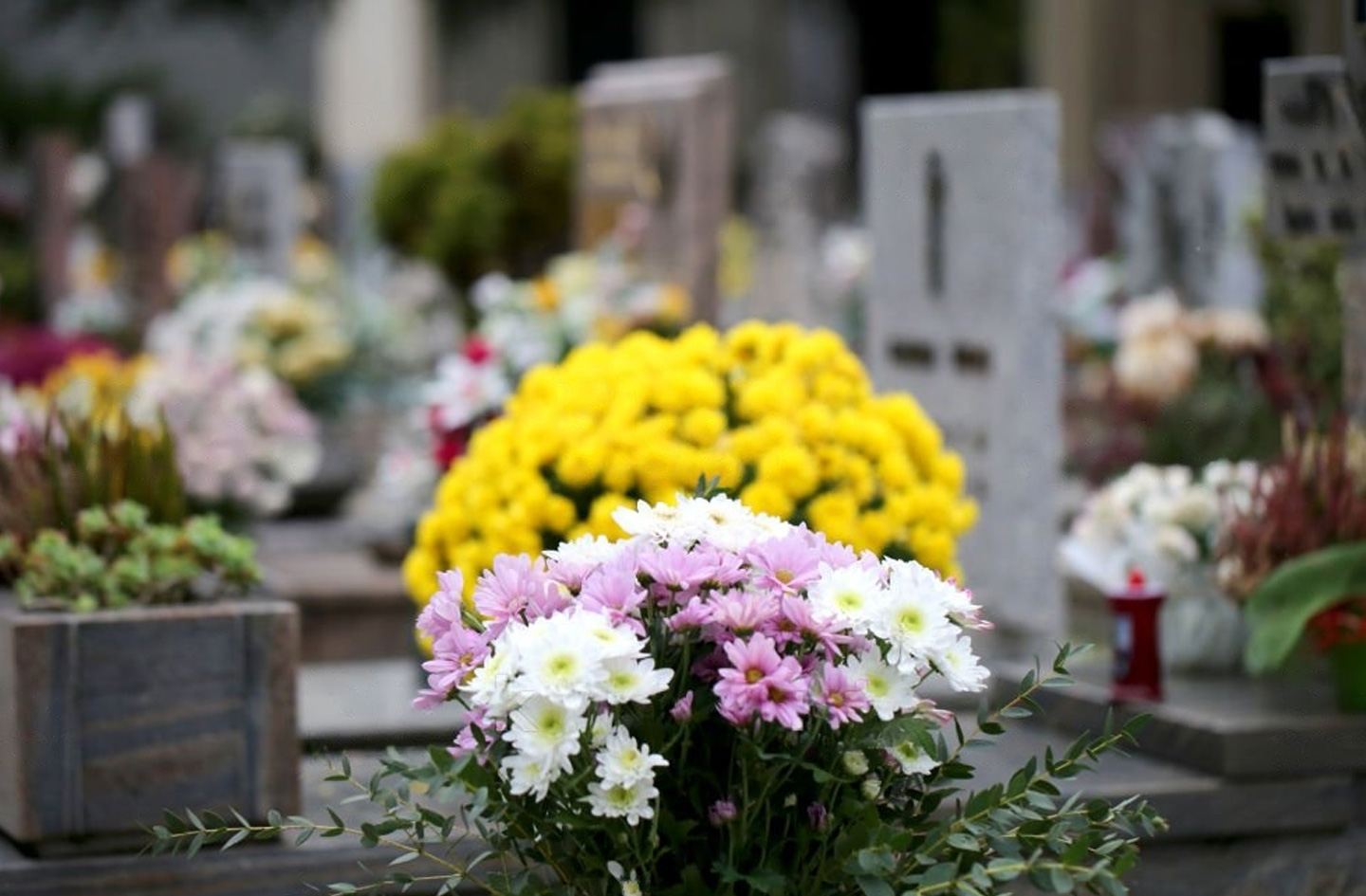 Fleurissement - La maison les fougères Caen