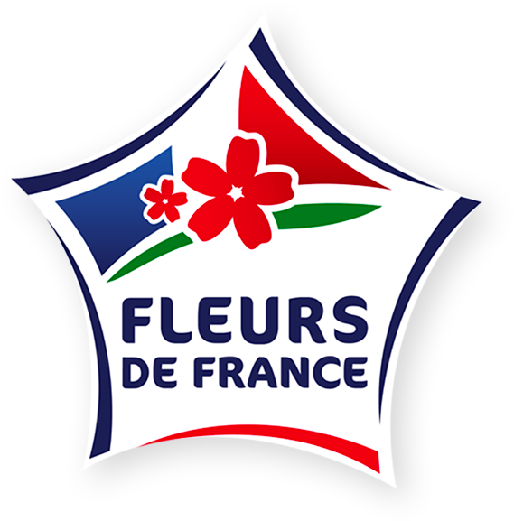 Les Foug&egrave;res : Fleurs de France