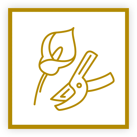 Formatrice agr&eacute;&eacute;e de l'Association Fran&ccedil;aise des Fleuristes