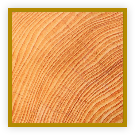 Noces de bois Noces de bois