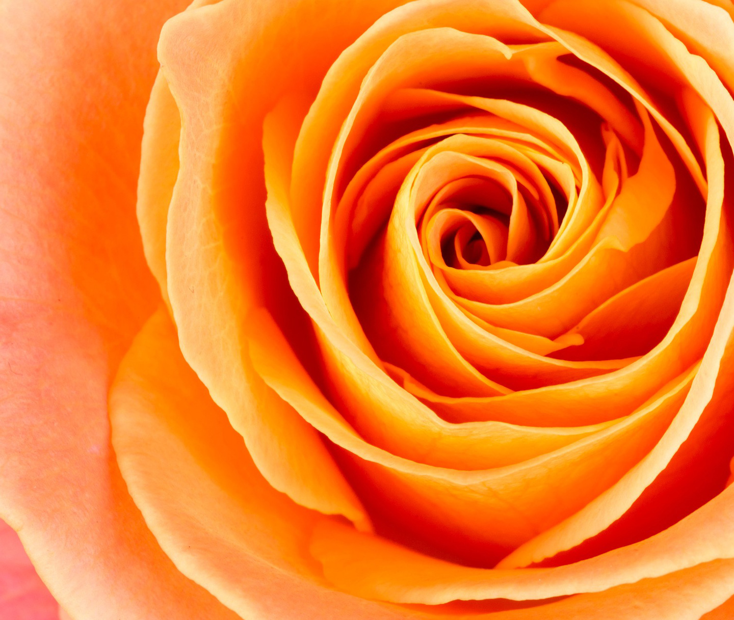 Signification du orange