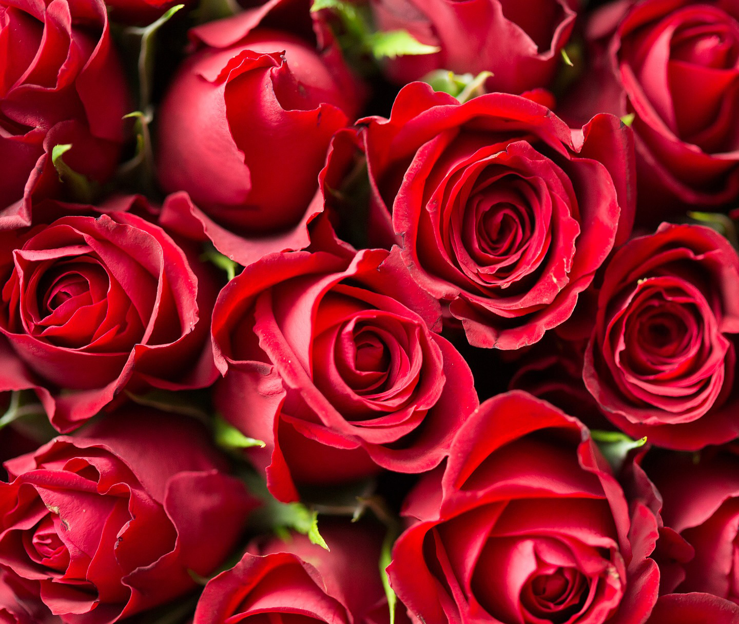 Signification du rouge