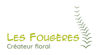 Les Fougères